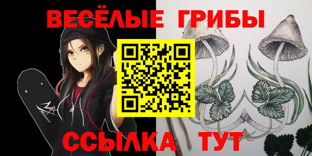 Псилоцибиновые грибы MAGIC MUSHROOMS Нововоронеж