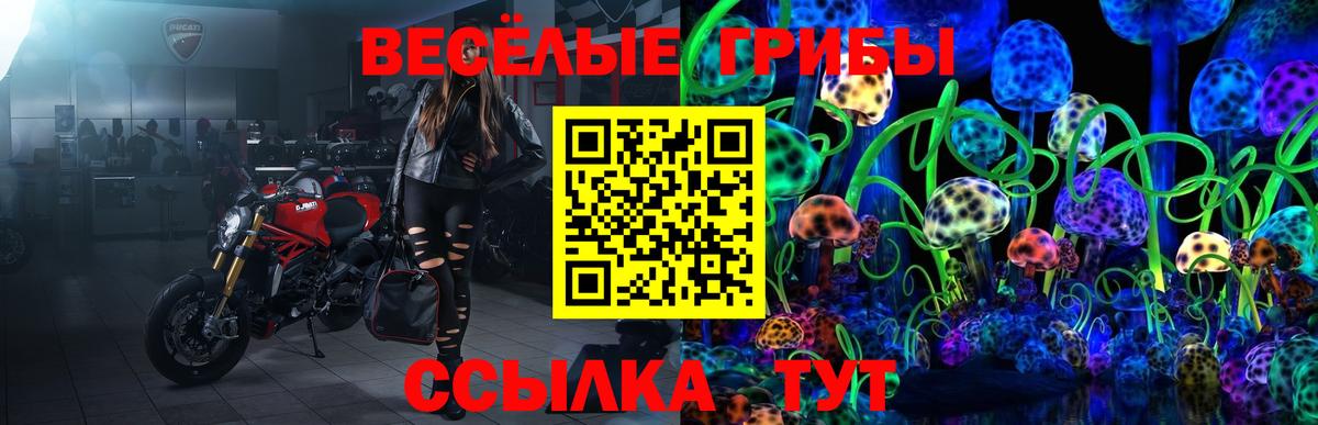 Нововоронеж  как найти   Вход с VPN  Галлюциногенные грибы Psilocybine cubensis  Псилоцибиновые грибы Psilocybe 